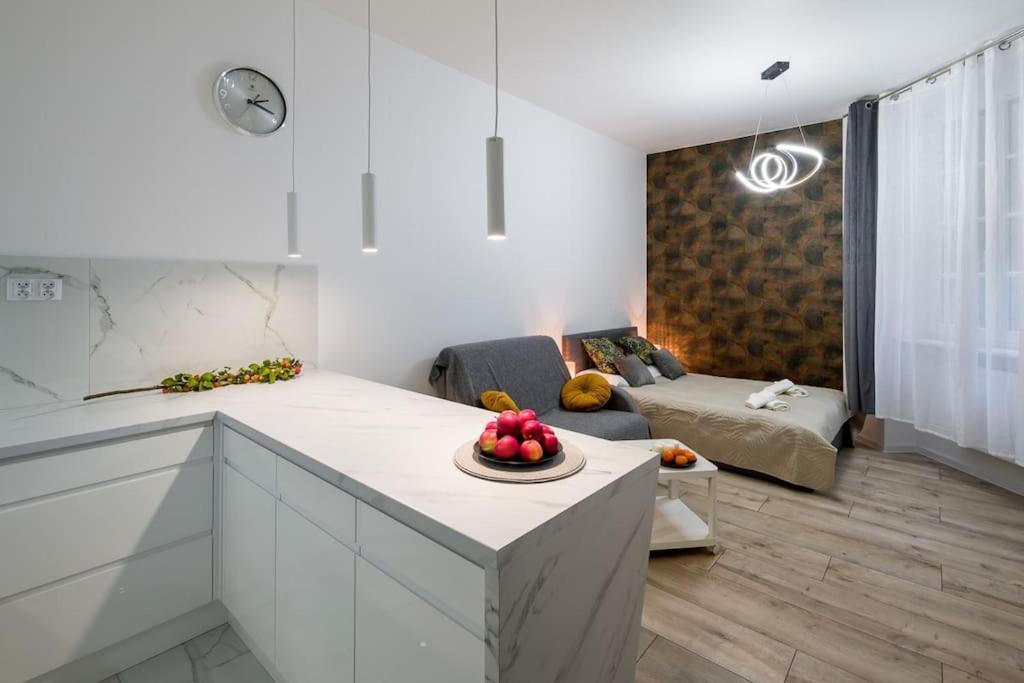 Charming Apartment In Calm And Central Area Краків Екстер'єр фото